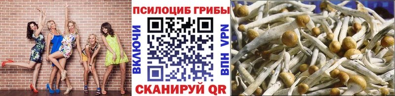 хочу наркоту  Томск  Псилоцибиновые грибы GOLDEN TEACHER 